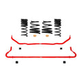 Eibach sway bar detail