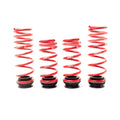 H&R springs detail