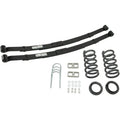 Belltech shock absorber