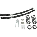 Belltech shock absorber detail