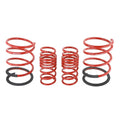 Skunk2 Racing springs close-up