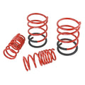 Skunk2 Racing springs close-up