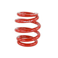 Skunk2 Racing springs installed view
