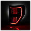 SPYDER tail light installed view