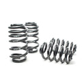 H&R springs