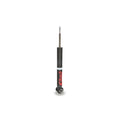Eibach shock absorber close-up