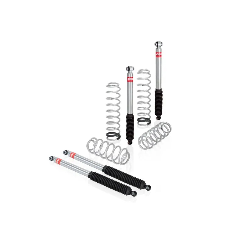 Eibach shock absorber