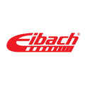 Eibach shock absorber detail