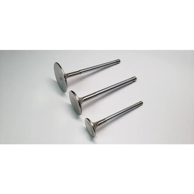 Ferrea Racing intake system