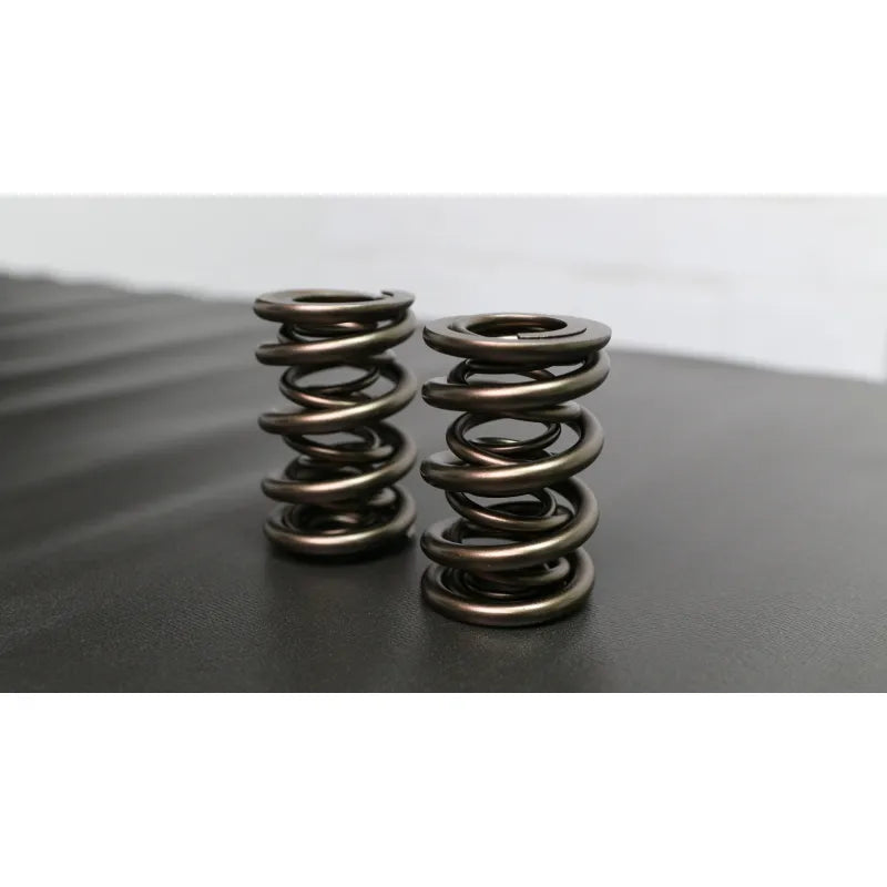 Ferrea Racing springs