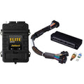 Haltech auto part