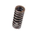 BLOX Racing springs