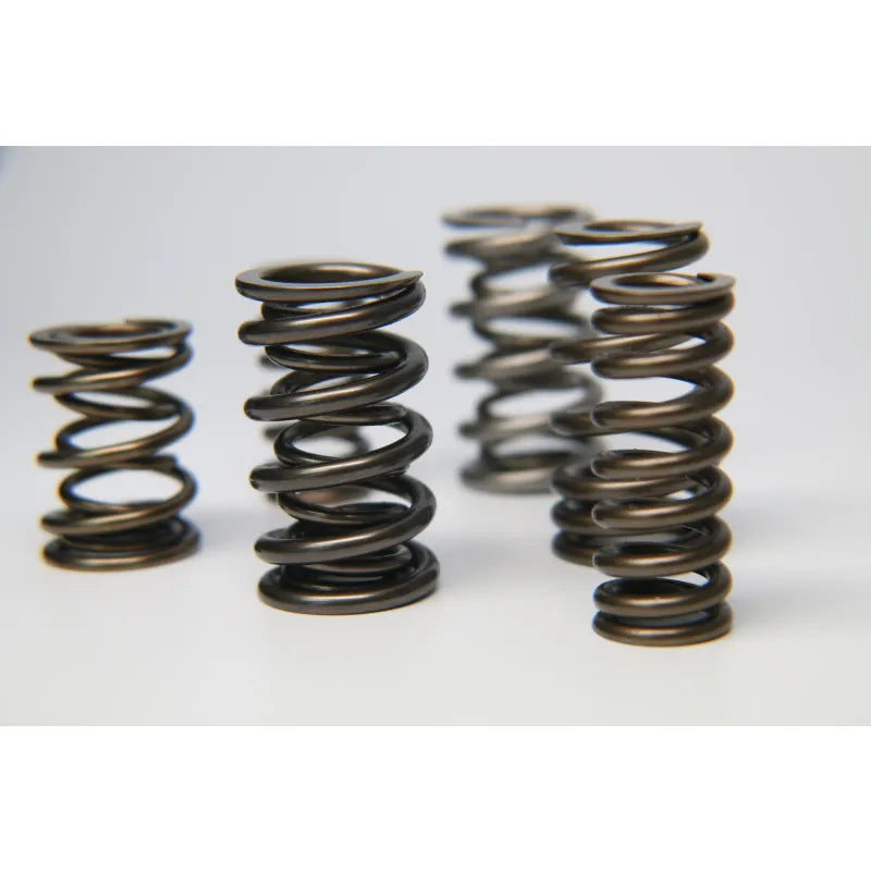 Ferrea Racing springs
