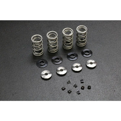 Ferrea Racing springs