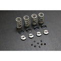Ferrea Racing springs