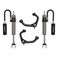 ICON shock absorber