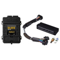 Haltech auto part