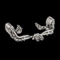 Akrapovic slip-on exhaust close-up