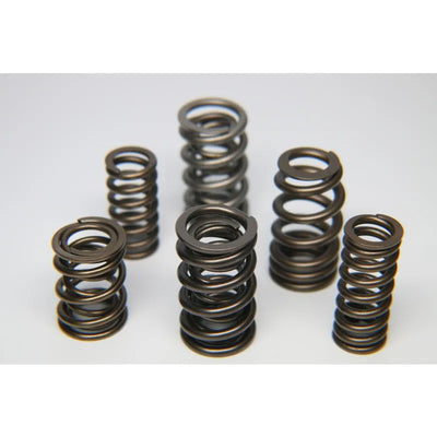 Ferrea Racing springs