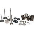 Ferrea Racing springs