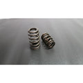 Ferrea Racing springs