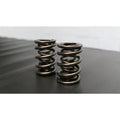 Ferrea Racing springs
