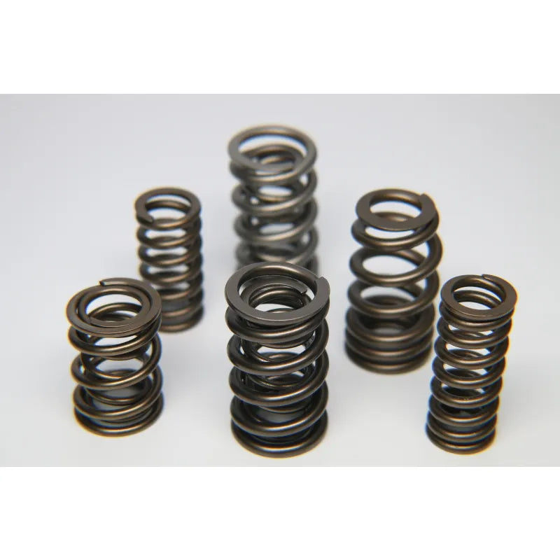 Ferrea Racing springs