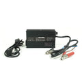 AntiGravity Batteries auto part