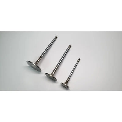 Ferrea Racing auto part