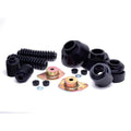 Daystar International lift kit