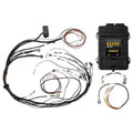 Haltech auto part