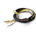 Haltech auto part