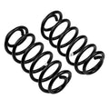 ARB springs installed view