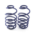 Air Ride Technologies (Ride Tech) springs