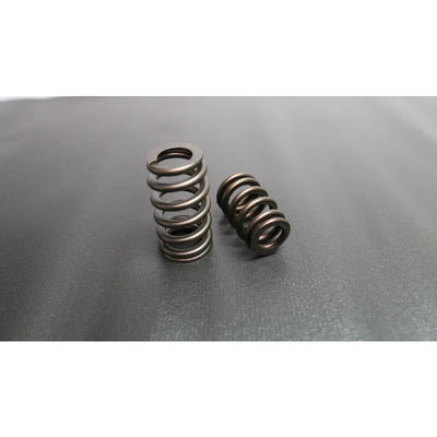 Ferrea Racing springs