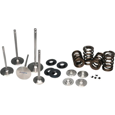 Ferrea Racing springs
