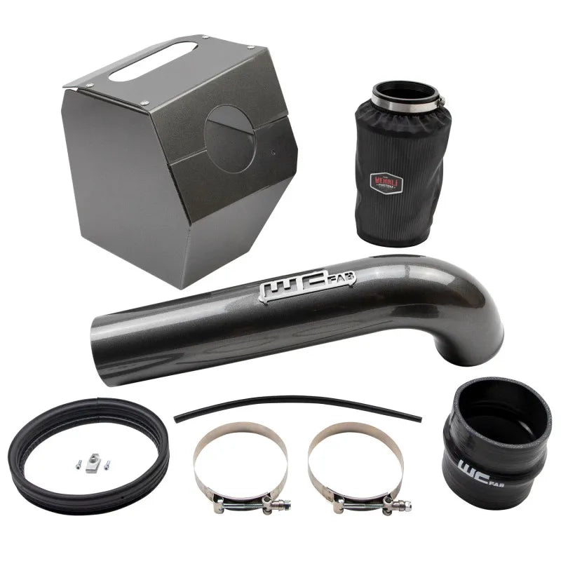 Wehrli intake system