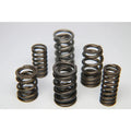 Ferrea Racing springs