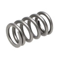Manley Performance springs close-up