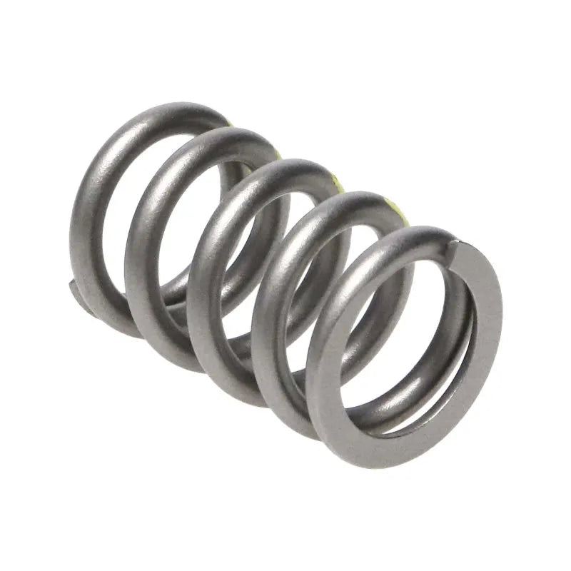 Manley Performance springs