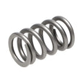 Manley Performance springs installed view