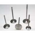Ferrea Racing titanium intake system