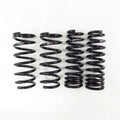 RSR Forged springs