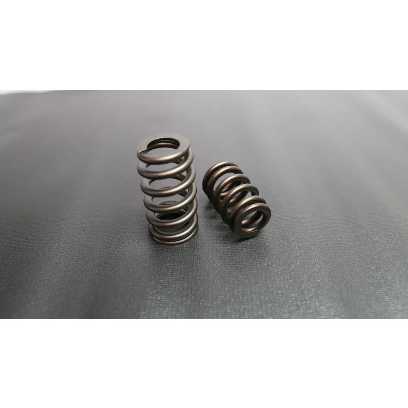 Ferrea Racing springs