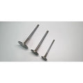Ferrea Racing auto part