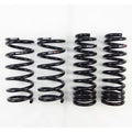RSR Forged springs