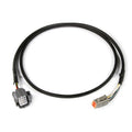 Haltech wideband gauge