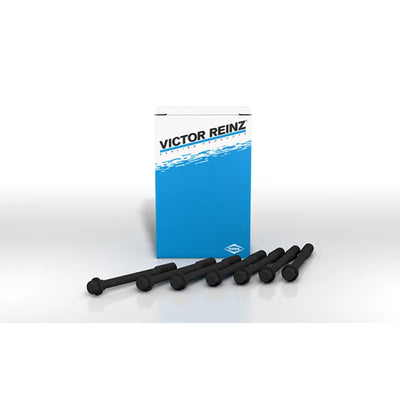 Victor Reinz hardware kit