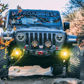 Baja Designs fog light kit