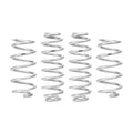 Eibach shock absorber
